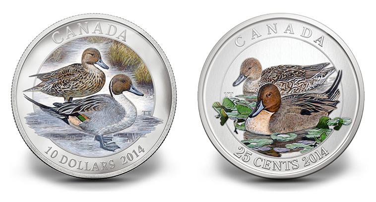 2014-Canadian-Pintail-Duck-Coins-10-and-25c.jpg