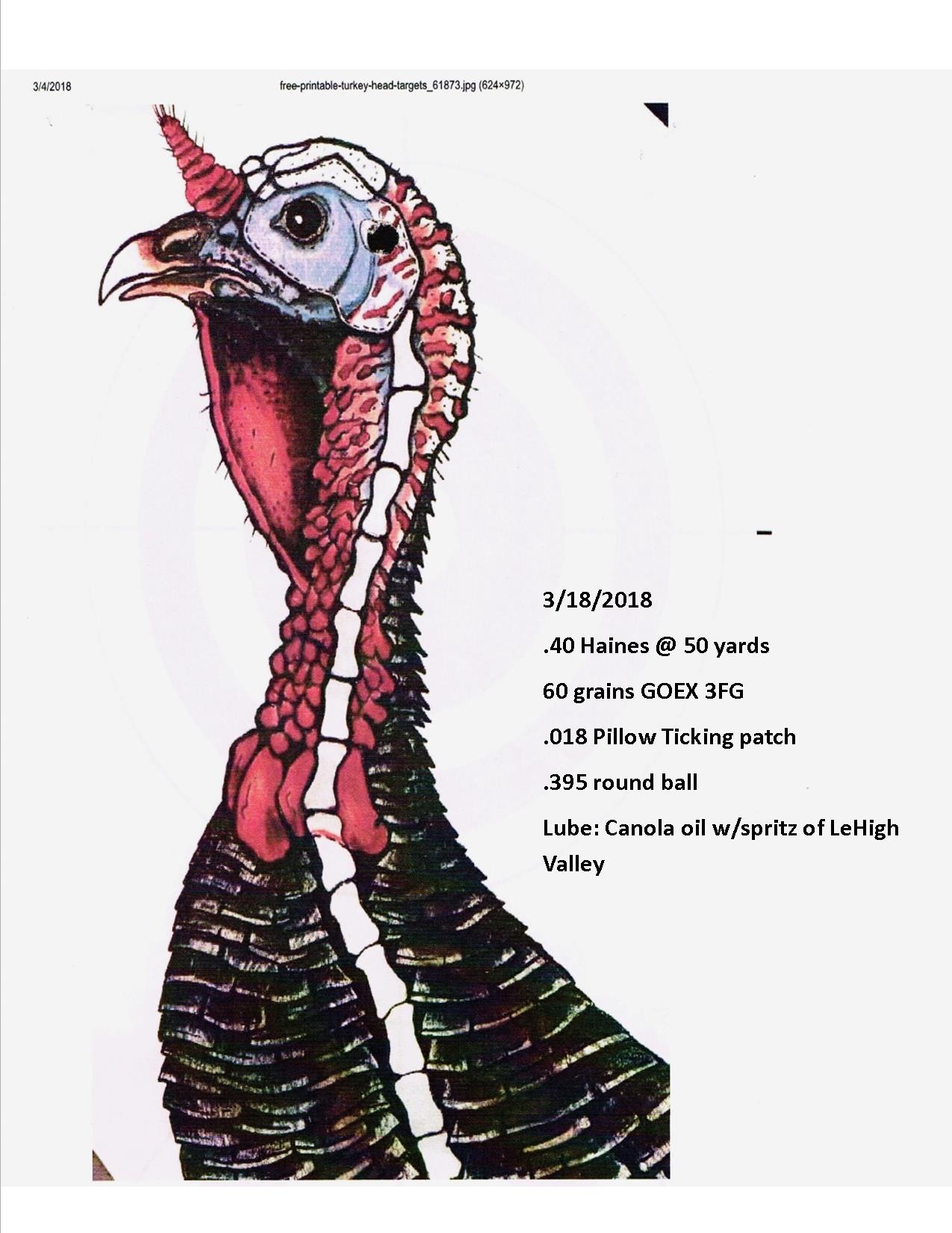 Turkey-head.jpg