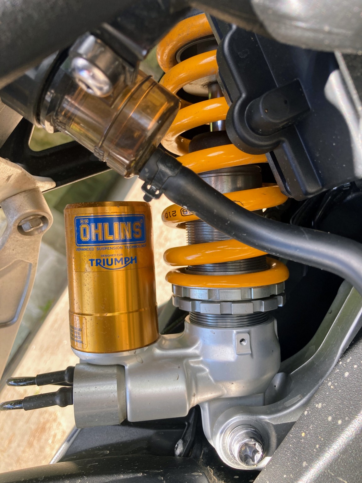 Ohlins suspension on the Triumph Speed Triple RR