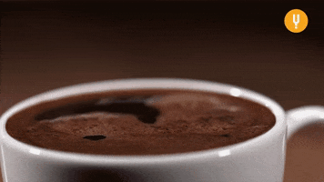Cup Of Coffee GIF by CuriosityStream