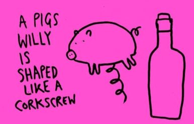 pigs-willy.jpg