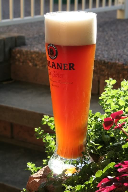 Roggenbier_mar101152x1728.jpg