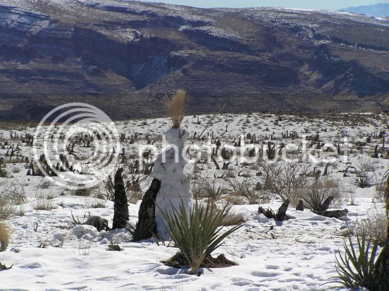 DeathValleyDaze201095.jpg