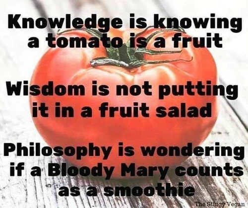 knowledge-is-knowing-tomate-is-fruit-bloody-mary-is-smoothie.jpg