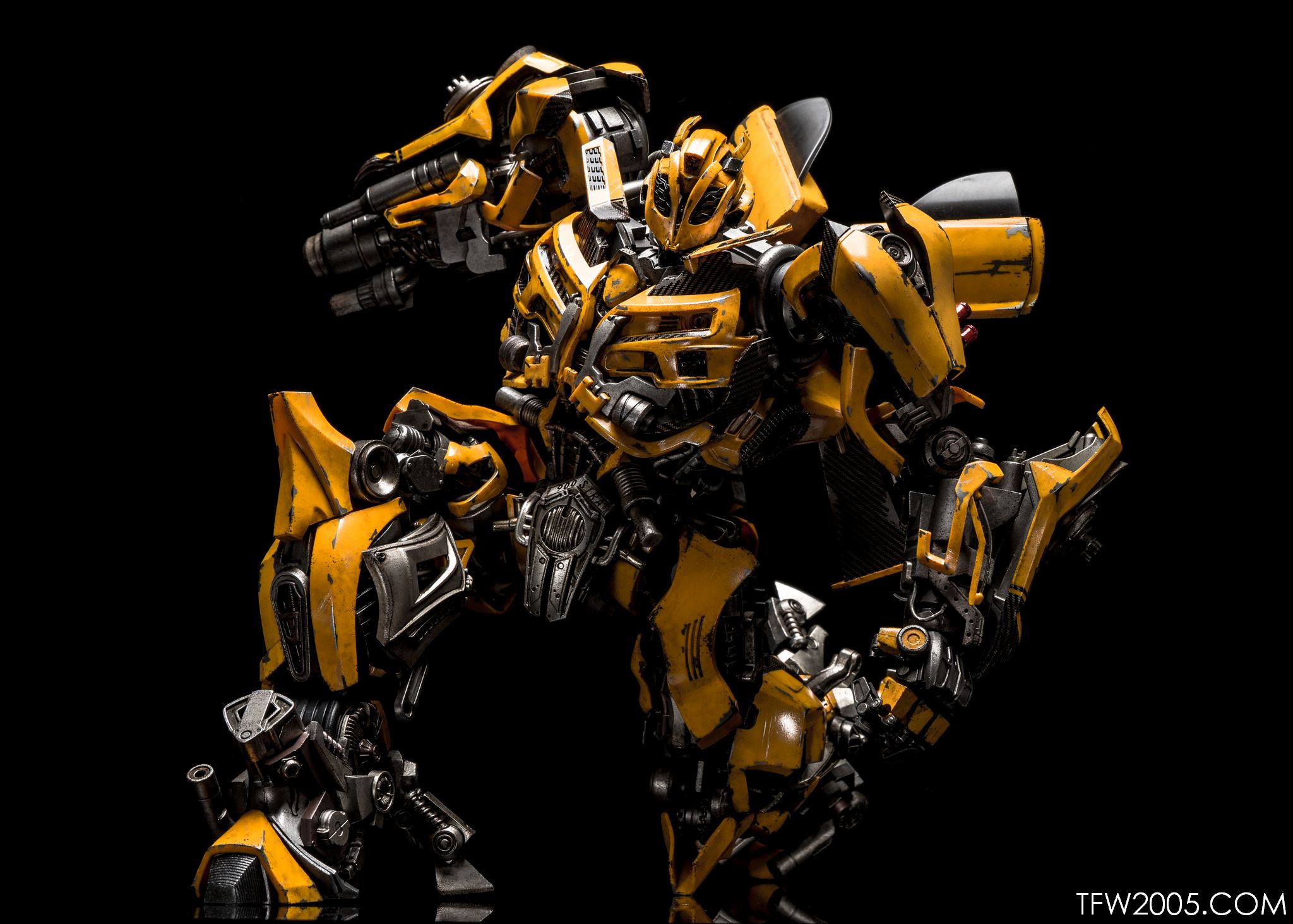 3A-Bumblebee-082.jpg