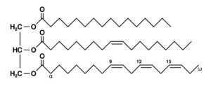 300px-Fat_triglyceride_shorthand_formula.PNG