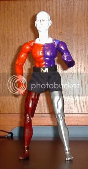 MyCustom-Metamorpho01.jpg