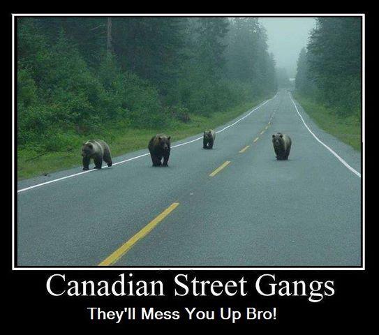 Canadian%2520Street%2520Gang.jpg