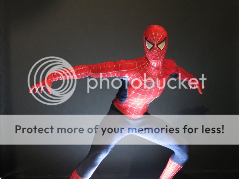 spidey2.jpg