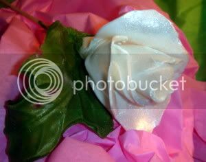 rosebud-1.jpg