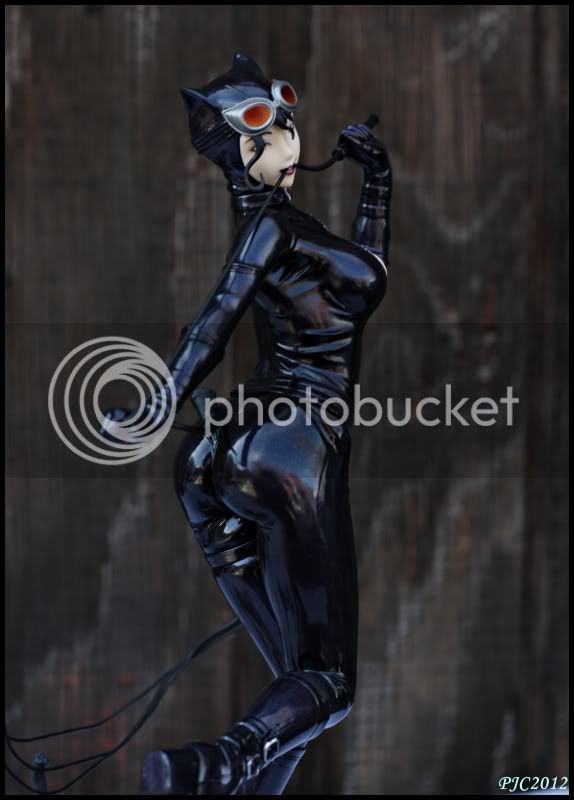 CatwomanBishoujo10.jpg