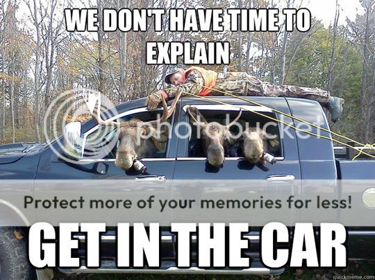 funny-moose-get-in-the-car_zps3521d341.jpg