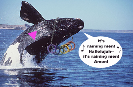 rightwhale.png