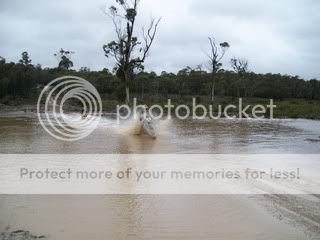 TercBridport230809013.jpg