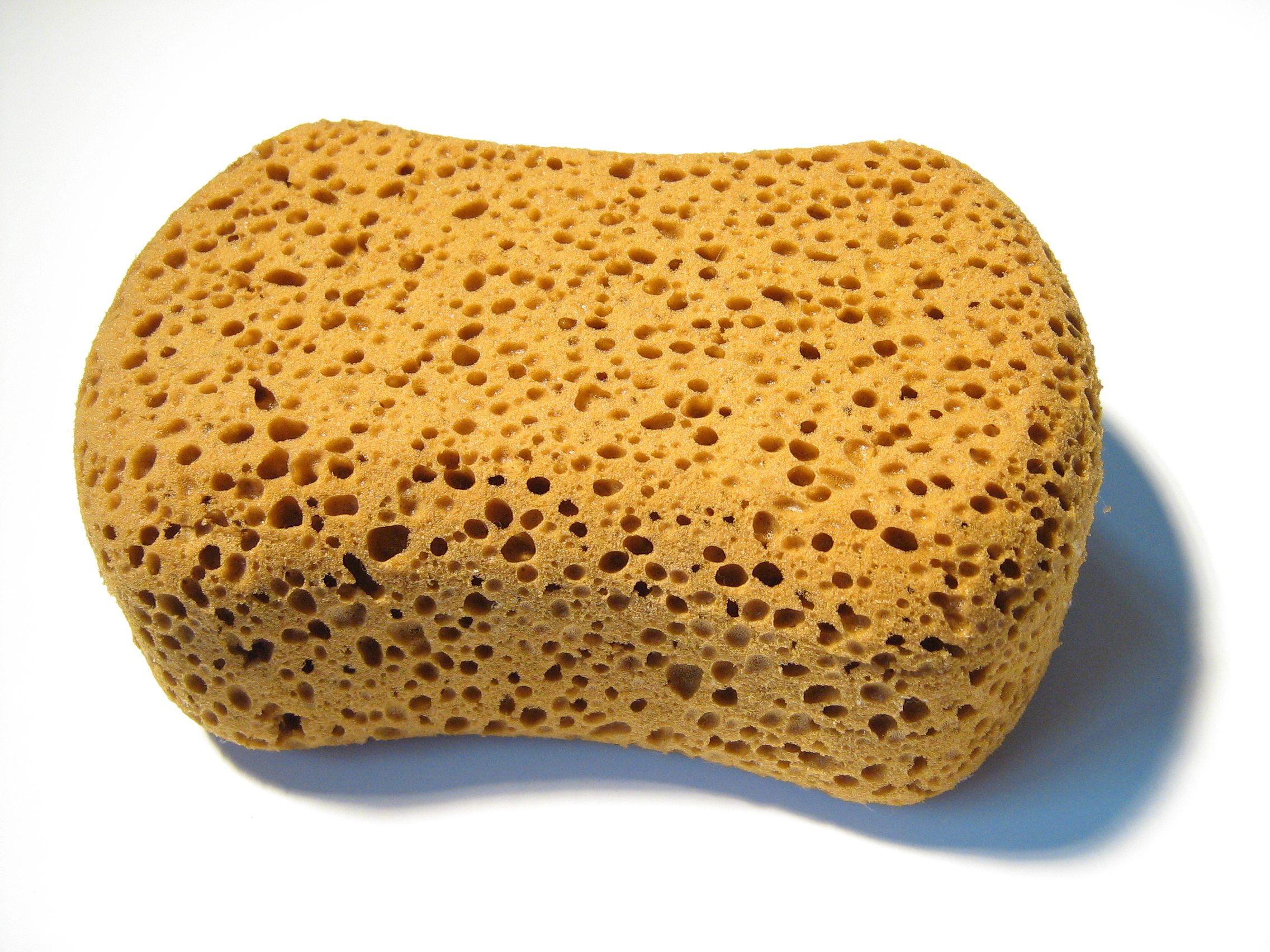 sponge-viscose.jpg