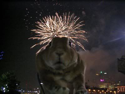 fireworks-rabbit.jpg