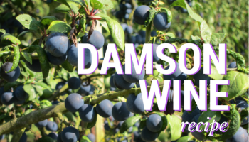 DAMSON.png