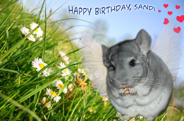 Sandi_Birthday.jpg