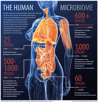 humans microbiology GIF