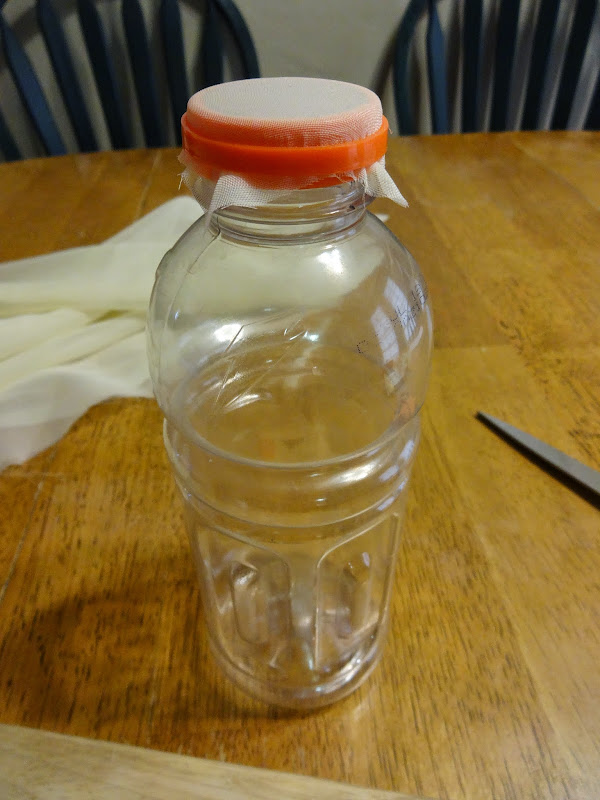 Completed_Gatorade_Drosophila_Fruit_Fly_Container.JPG