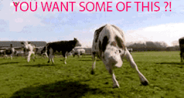 cow-tipping-gif-7.gif