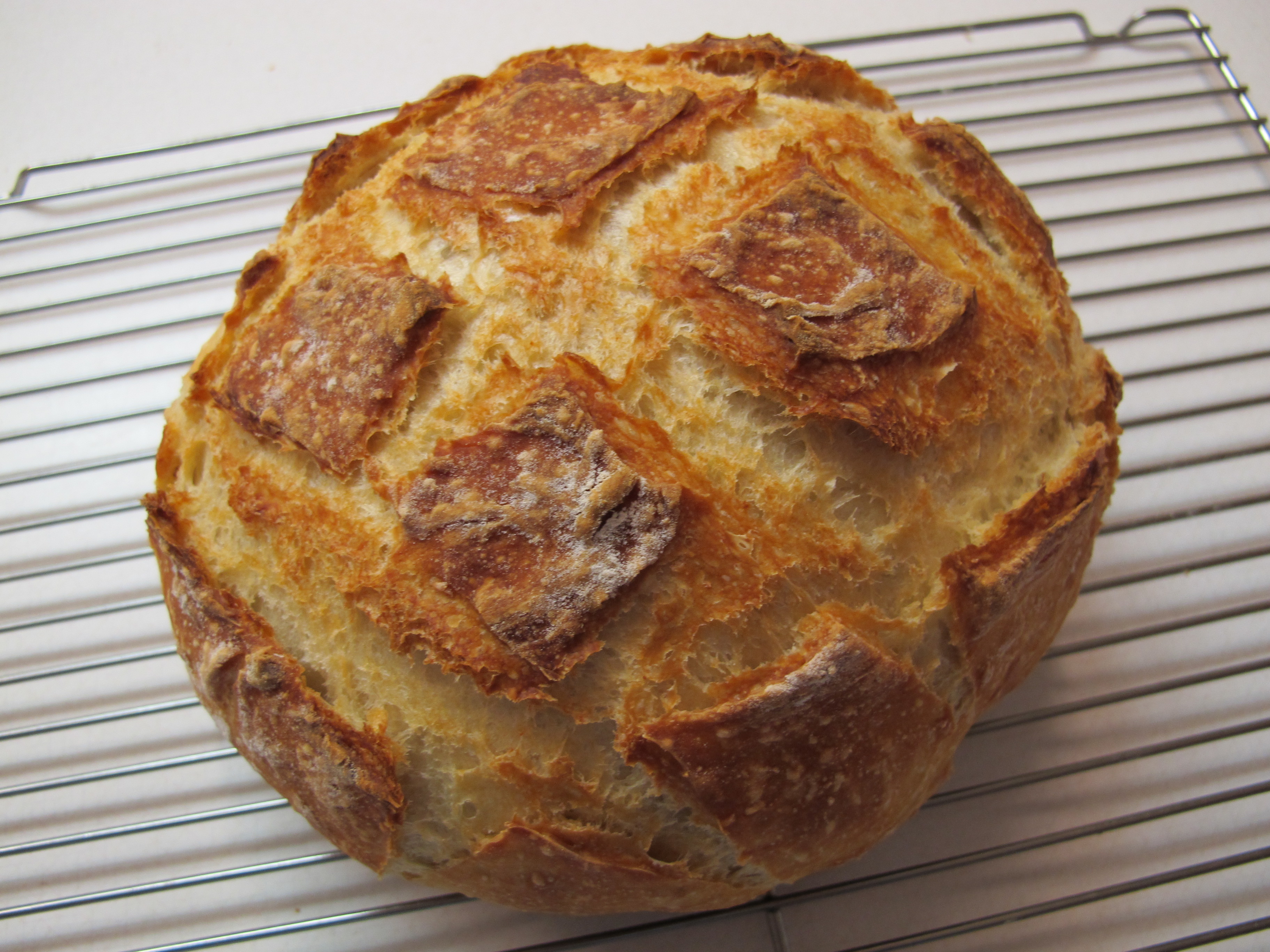 crusty-artisan-bread-14.jpg
