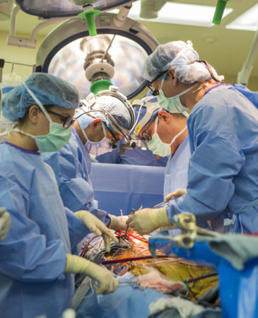 Artificial-heart-transplant-AR0434-365x450.jpg