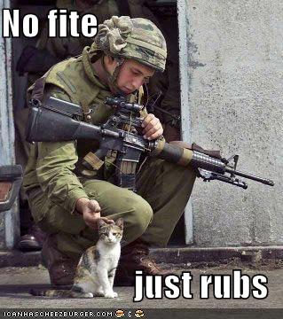 funny-pictures-soldier-and-cat-733603.jpg