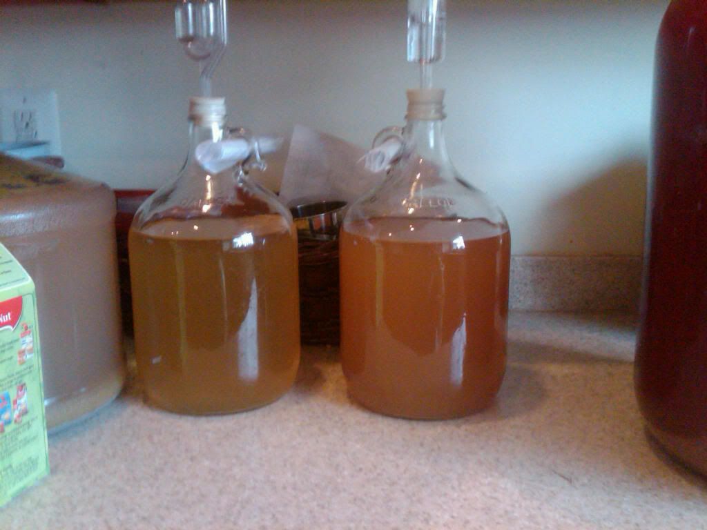 first2ciders.jpg