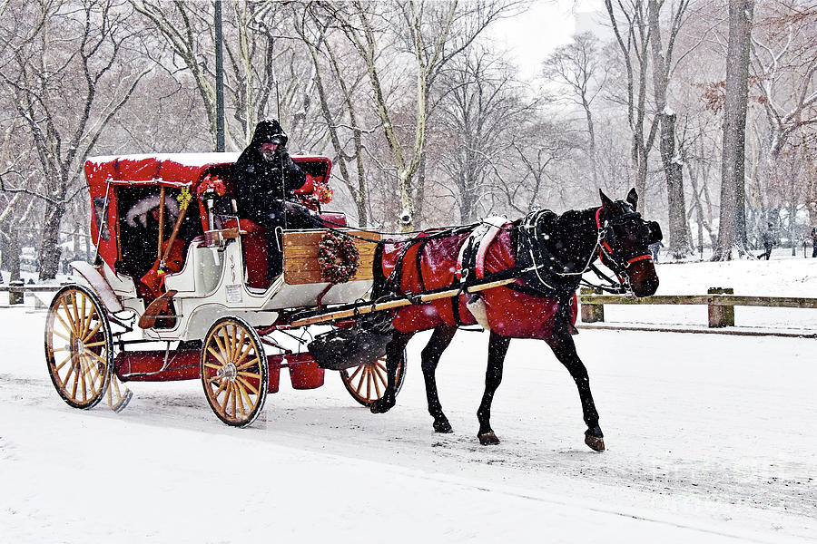 central-park-snowy-carriage-ride-regina-geoghan.jpg