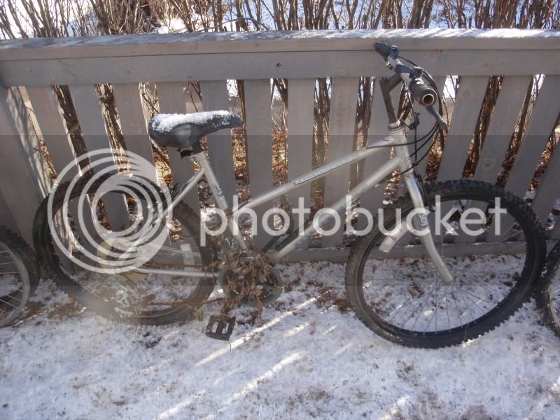 freebikes034.jpg