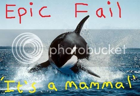 orca-killer-whale-epic-fail.jpg