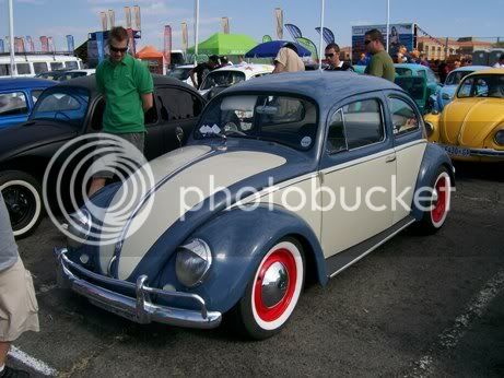 Beetle1.jpg