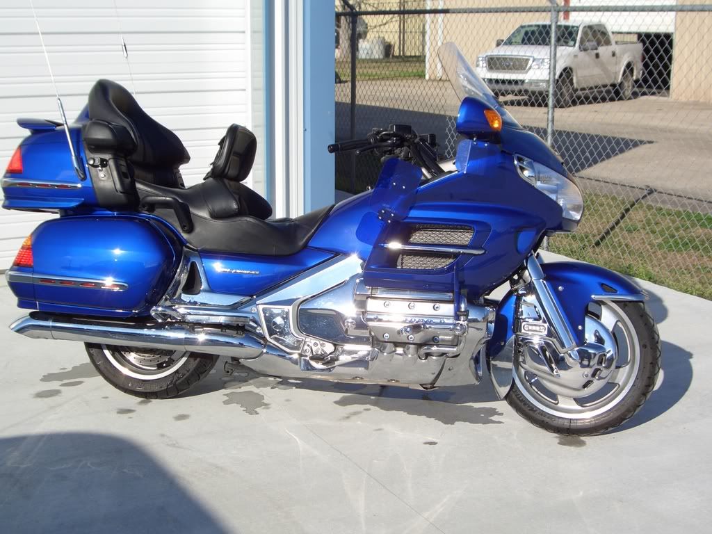 2001GOLDWING001.jpg