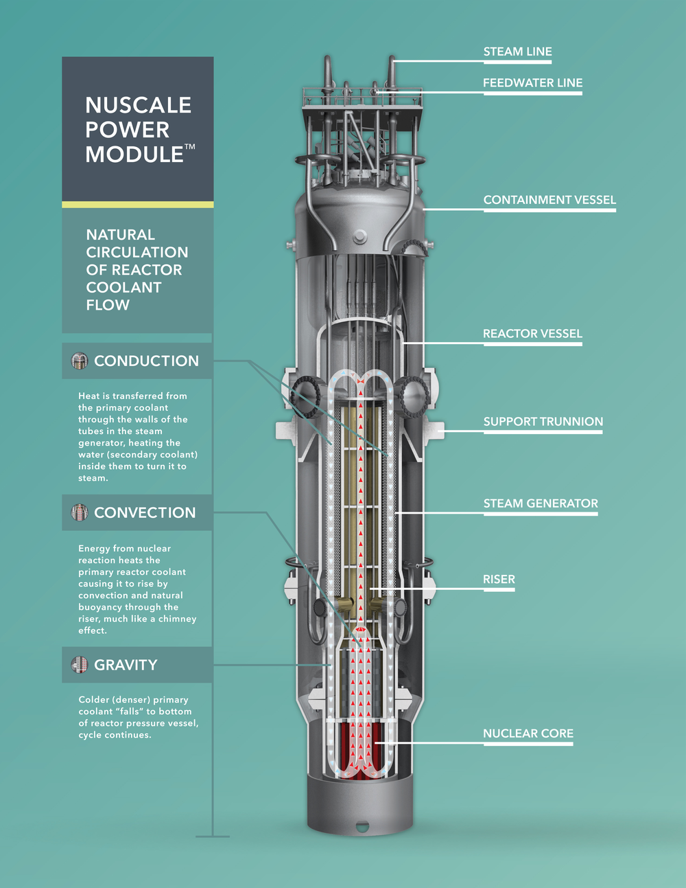 1000px-Diagram_of_a_NuScale_reactor.png