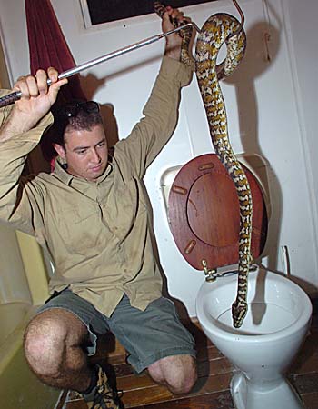 835337-snake-catcher-chris-peberdy.jpg