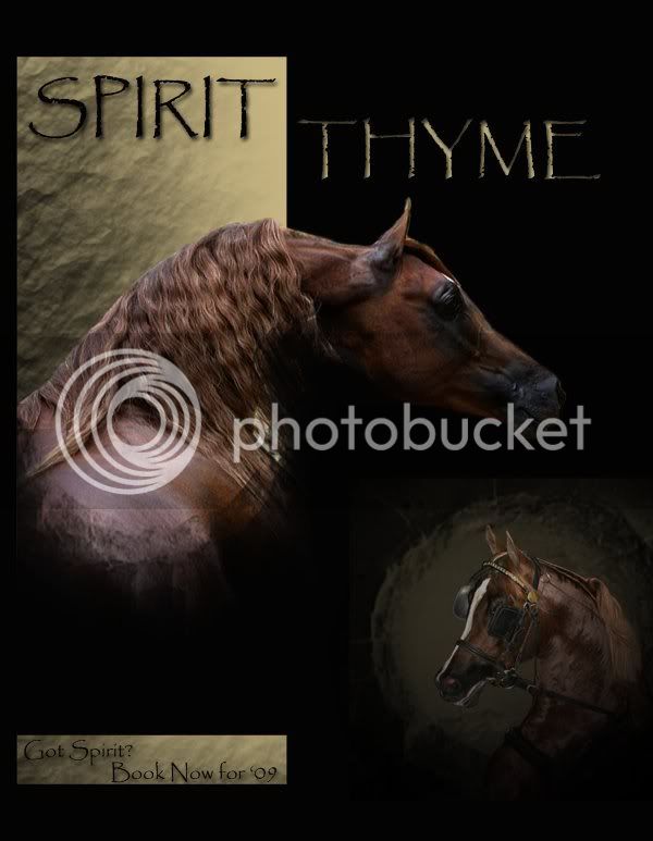 SpiritThyme3websize-1.jpg