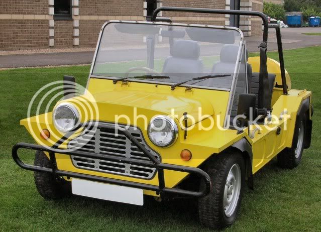 mini_moke_nuevo_al_mejor_precio.jpg