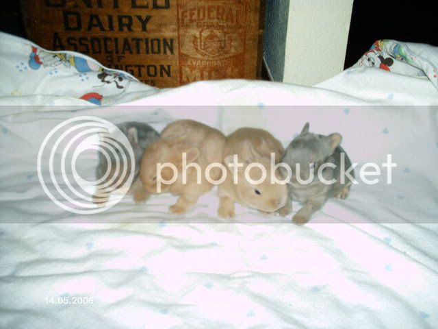 OldPicsofAutumnandBabies028.jpg