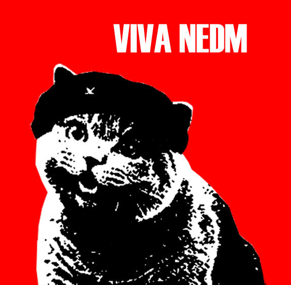 Viva_NEDM_by_PatAmo19.jpg