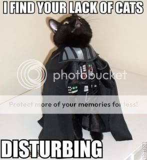 lolcat-6.jpg