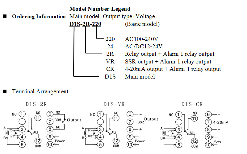 d1s-info.jpg