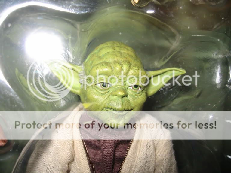 yoda.jpg