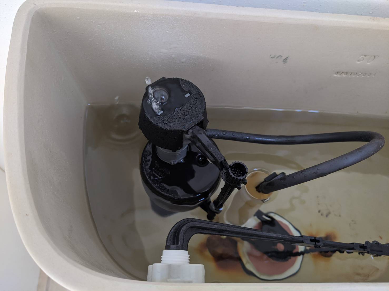 Toilet leaking from tank bolt. -  Community Forums