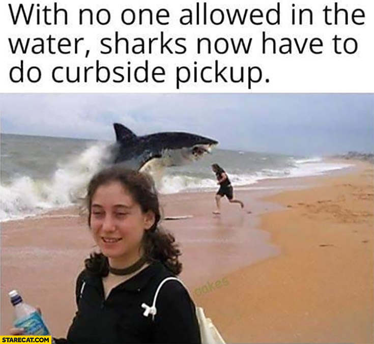 with-no-one-allowed-in-the-water-sharks-now-have-to-do-curbside-pickup.jpg