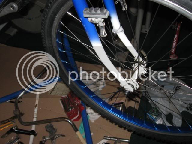 Bikes5181.jpg