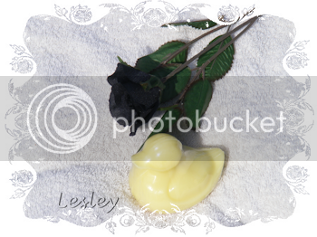 soapducktropicalfruit.png