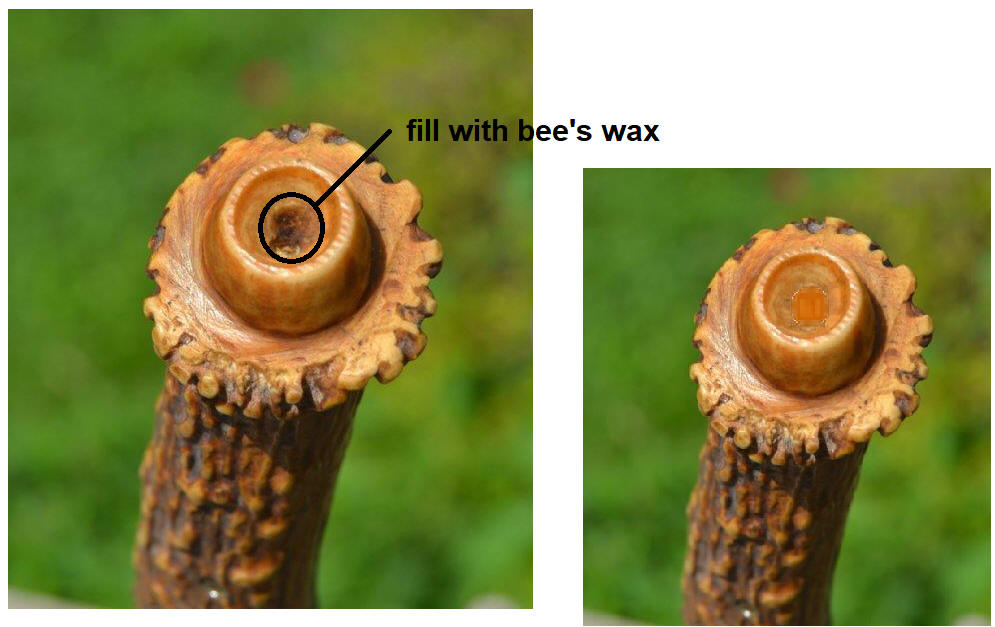 bee_s_wax.jpg