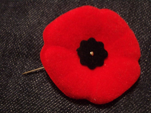 canadian-poppy-pin-via-phyllysfaves-blogspot-com.jpg