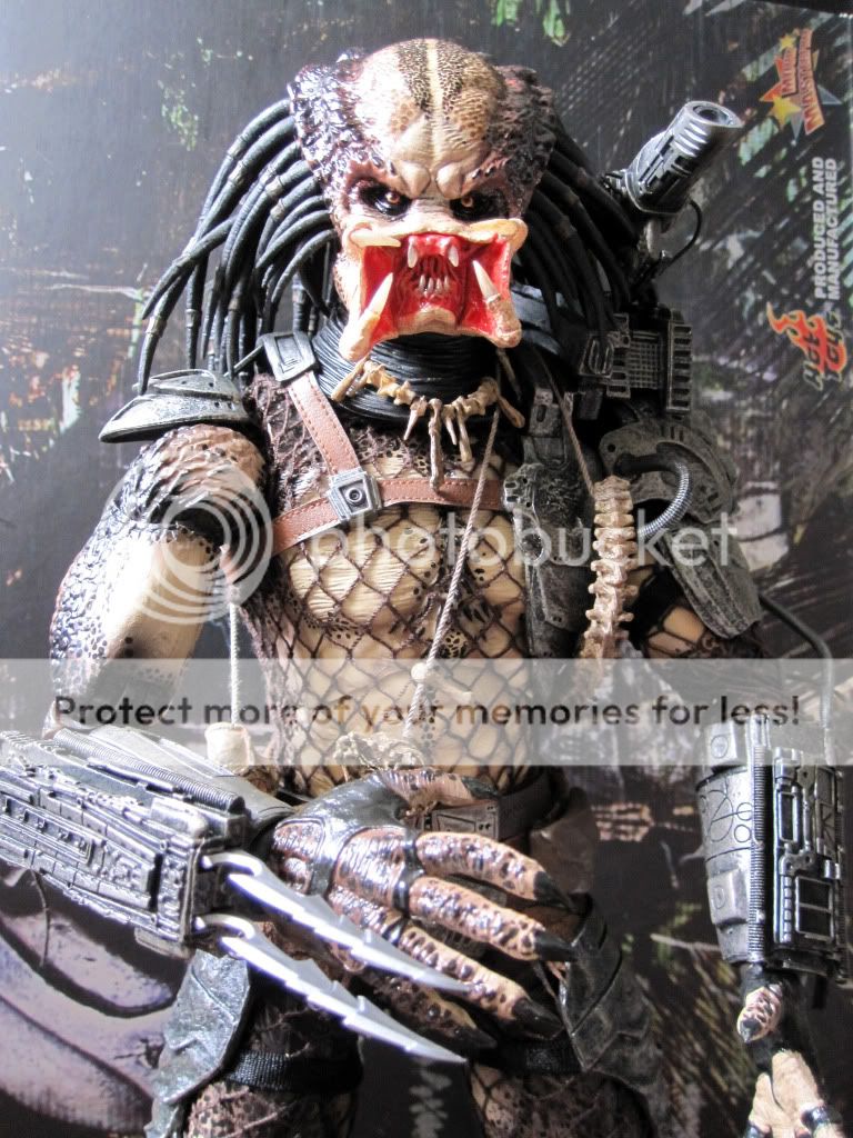 Predator1-002.jpg